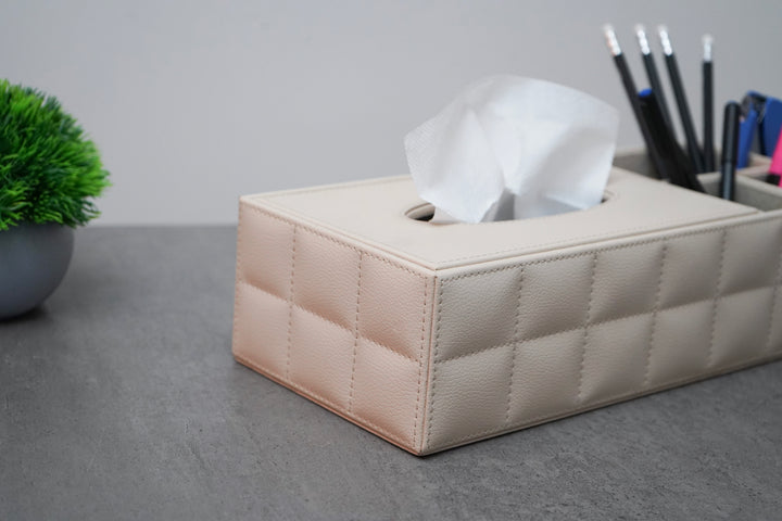 Multi-Purpose Organiser with Tissue Holder, Cream